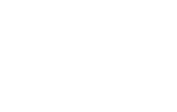 iGEM TU Delft